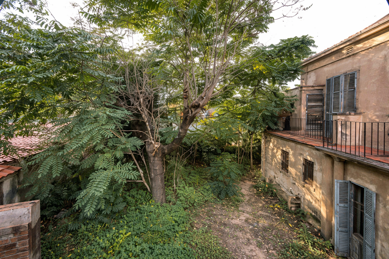 Pati interior amb llum i ombra